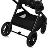 купить Детская коляска Lionelo Carucior 2in1 Layla Green Forest в Кишинёве 