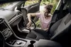 купить Промышленный пылесос Karcher WD 2 Plus V-12/4/18 (1.628-018.0)+ Duza auto WD в Кишинёве 