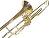 cumpără Instrument muzical de suflat Parrot 6425 L în Chișinău 