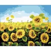 купить Картина по номерам Richi (02553) Floarea soarelui 40x50 в Кишинёве 