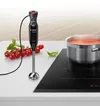 cumpără Blender de mână Bosch MS61B6170 în Chișinău 