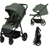 купить Детская коляска Lionelo Iva Green Forest в Кишинёве 