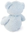 cumpără Jucărie de pluș Baby Gund 6048628 My 1st Teddy Blue 45cm în Chișinău 