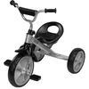 cumpără Bicicletă Toyz 0304 Трехколесный велосипед York Grey în Chișinău 