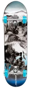 cumpără Skateboard New World PY-808 Wolf Roar, 178007 în Chișinău 