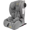 купить Автокресло Summer Baby Molto I-Size (4423) Grey в Кишинёве 