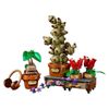 купить Конструктор Lego 76474 Harry Potter. Plante de herbologie de la Hogwarts в Кишинёве 