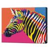 купить Картина по номерам Art Gallery CX3218 20x30cm Zebra curcubeu в Кишинёве 