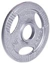 cumpără Ganteră inSPORTline 327 Disc d=30 mm metal 1,25 kg Hamerton 12708 în Chișinău 