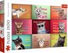 купить Головоломка Trefl R25K /20 (26212) Puzzle 1500 Funny cat в Кишинёве 