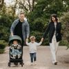 cumpără Сărucior pentru copii Coccolle Melia Sage Shadow în Chișinău 