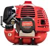 купить Триммер для газона Incraft MSD-024101 Motocoasă 4.1kW CR-5600 в Кишинёве 