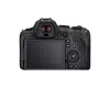 купить Фотоаппарат беззеркальный Canon EOS R6 Mark II 5.0GHz Body (5666C031) в Кишинёве 