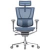 купить Офисное кресло ART Mirus IOO Elite 2 Cobalt T-168-B4 IOOE2-AG-HAM-5D-L в Кишинёве 