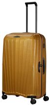 купить Чемодан Samsonite MAJOR-LITE (147120/2048) в Кишинёве 