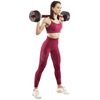 купить Гантель HMS SGP15 bara+disc compozite 15kg в Кишинёве 