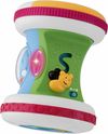 cumpără Jucărie muzicală Chicco 71707.00 Roller Spring în Chișinău 