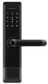 купить Умный дверной замок TTLock H2 Black в Кишинёве 