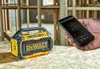 cumpără Boxă portativă Bluetooth DeWalt DCR011 în Chișinău 
