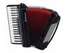 купить Цифровое пианино Startone Piano Accordion 96 Black MKII в Кишинёве 