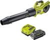 cumpără Suflantă de aer RYOBI RY36BLXB-150 5133005665 în Chișinău 