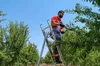 cumpără Scară Cagsan BM25 Scara pentru gradina 8 trepte, H=2.57m, max.150kg în Chișinău 