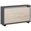 купить Полка для обуви Mobildor-Lux Leo Slim 50x16x47H cm Anthracite/Sonoma в Кишинёве 