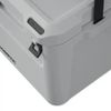 купить Сумка холодильник Dometic Cool-Ice Cl 28 mist в Кишинёве 