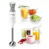 cumpără Blender de mână Bosch MSM66120 în Chișinău 