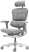 купить Офисное кресло ART Ergohuman Elite 2 Natural T-168-B2 EHE2-AG-HAM-5D-L в Кишинёве 