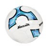 купить Мяч Toi-Toys 62223Z Minge de fotbal №5 Adrenix , 4 modele в Кишинёве 