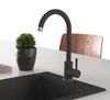 cumpără Bateria bucătărie Helika-AquaSanita 5523E2-202 SABIA ECO2 Alumetallic în Chișinău 