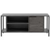 купить Тумба напольная для TV Trendy Bond Rebab, 120x54x30cm (GTR000236) в Кишинёве 