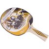 cumpără Articol de tenis Donic 3214 Paleta tenis masa TOP TEAM Level 300/705031 în Chișinău 