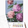 купить Картина по номерам BrushMe BS53761FC 40x50сm (fără cutie) A înflori в Кишинёве 
