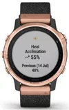 cumpără Ceas inteligent Garmin fenix 6S Pro Sapphire editions Rose gold-tone with heathered black nylon band în Chișinău 