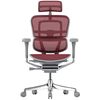 купить Офисное кресло ART Ergohuman Elite 2 Scarlet T-168-B3 EHE2-AG-HAM-5D-L в Кишинёве 