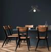 купить Освещение для помещений Trendy Farac-6391, 50x41x50cm в Кишинёве 