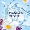 cumpără Balsam de rufe Lenor 0561 LAVENDER&CAMOMILE 71W în Chișinău 