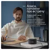 cumpără Boxă portativă Bluetooth Yandex YNDX-00020G Alisa Station Mini Gray în Chișinău 