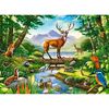 купить Головоломка Castorland Puzzle B-030408 Puzzle 300 elemente в Кишинёве 