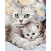 купить Картина по номерам BrushMe BS52689 40x50cm (în cutie) Pisica mamă cu pisoiașul в Кишинёве 