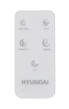 купить Увлажнитель воздуха Hyundai YEJI42KR в Кишинёве 