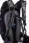 купить Рюкзак спортивный Deuter Compact EXP 10 SL blueberry-mint в Кишинёве 