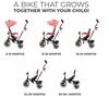 cumpără Bicicletă-cărucior KinderKraft Aston 2 Plus Pink (KRASTO02PNKPL00) în Chișinău 
