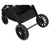 купить Детская коляска Kikka Boo Tiffany Dark Grey 2024 2in1 (3800171210768) в Кишинёве 