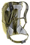 cumpără Rucsac sportiv Deuter Race Air 14+3 linden-cactus în Chișinău 