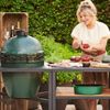 купить Мангал Big Green Egg BGE117632-S1 Large Classic Packages (pe carbuni) в Кишинёве 