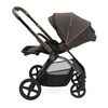 cumpără Сărucior pentru copii Chicco 8702632 Mysa, Bronze Lizard Re Lux, Editie limitata , 0+ luni în Chișinău 