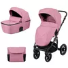 купить Детская коляска Kikka Boo 31001020128 Carucior 2 in 1 Amani Pink в Кишинёве 